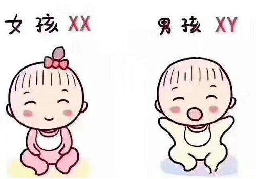 输卵管切除两边还可以怀孕吗？能做试管婴儿吗？