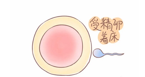 输卵管堵塞做试管婴儿手术费用大概要多少
