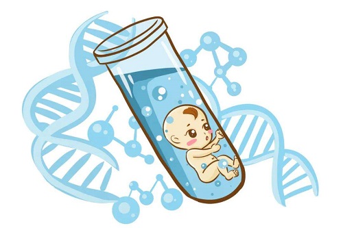 试管婴儿解析：胚胎透明带过硬？辅助孵化技术？