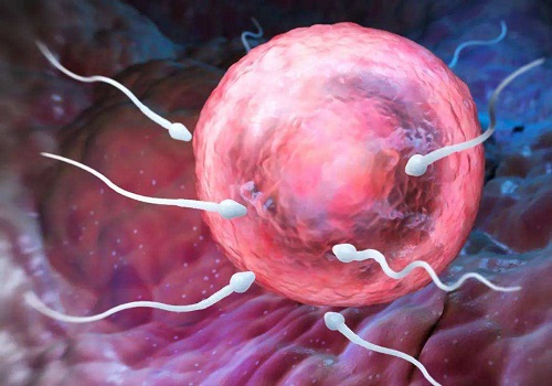 赴泰生子期间，怎样才能提高试管成功率？