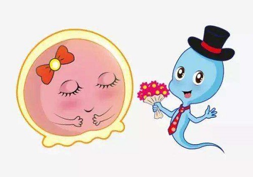 赴泰生子过程有哪些注意事项？以下因素或许会影响促排效果！
