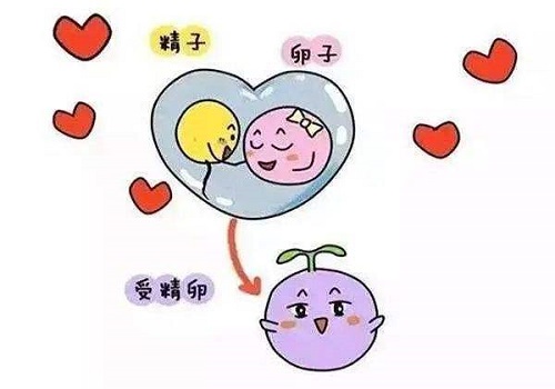 试管婴儿移植后，注意哪些事项可以提高成功率？