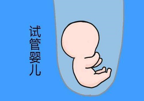 试管胚胎会不会出现空囊？是为什么？