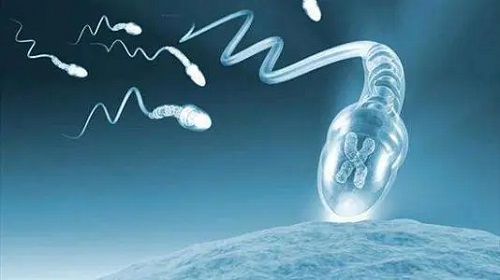 详细试管婴儿中保证您孩子健康的PGS／PGD(可孩)