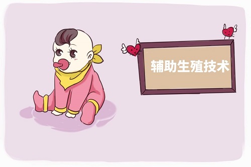 三代试管取卵后的流程，如何培育？