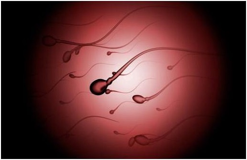 试管生小秘密：如何轻松度过移植后的验孕等待期？
