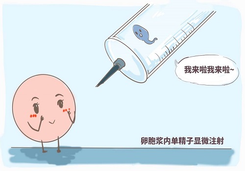 试管婴儿被证实最多活到45岁？不是！