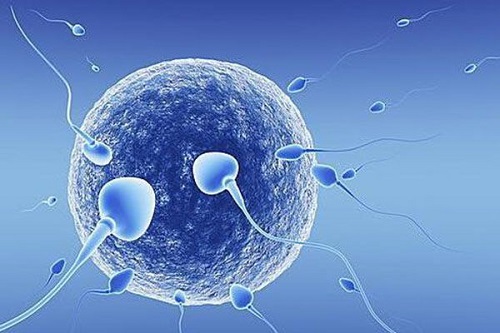 美国试管婴儿如何减少胚胎碎片的产生，提高妊娠率？