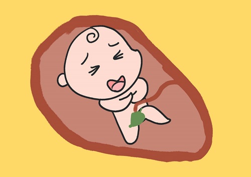 试管对女人的伤害多大？IVF家庭不可错过
