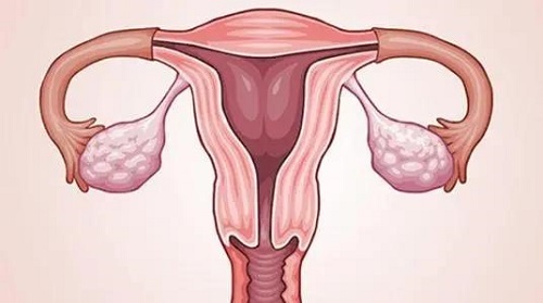 赴泰生子过程需要注意的事项是什么？