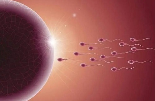 输卵管堵塞有积水能做试管婴儿移植吗？