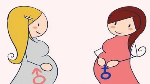 赴泰试管婴儿走俏，真的是优势决定趋势？