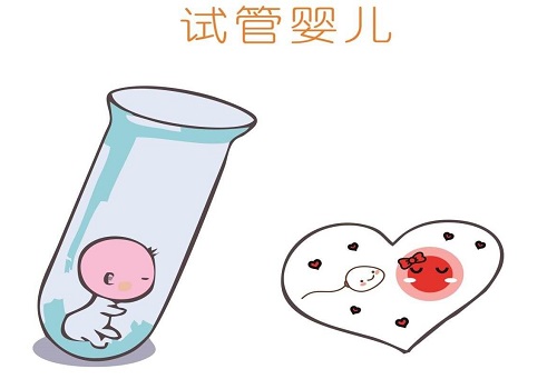 试管婴儿需要多长的时间呢