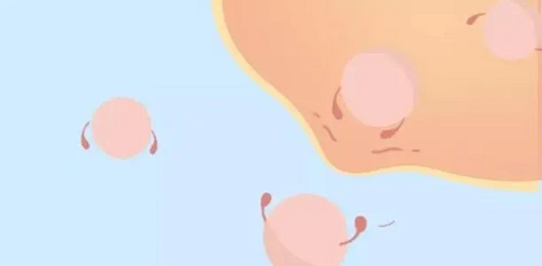 赴泰生子过程注意事项多不多？赶紧看看