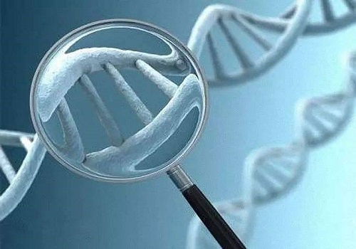 赴泰做试管婴儿前，哪些注意事项需要留意？