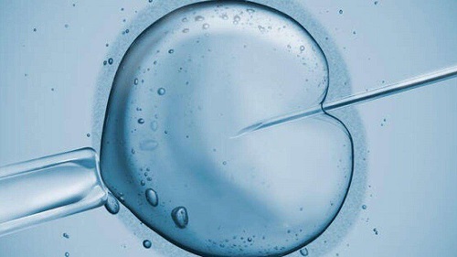赴泰试管婴儿冷冻囊胚移植要如何做到高成功率？