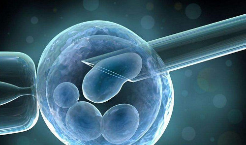 赴泰生子有什么优势？鲜胚、冻胚移植，选择多？