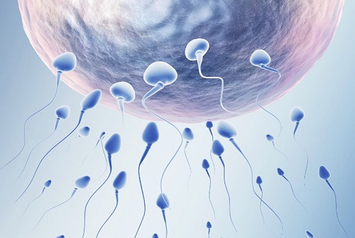 赴泰生子过程需要注意的事项是什么？